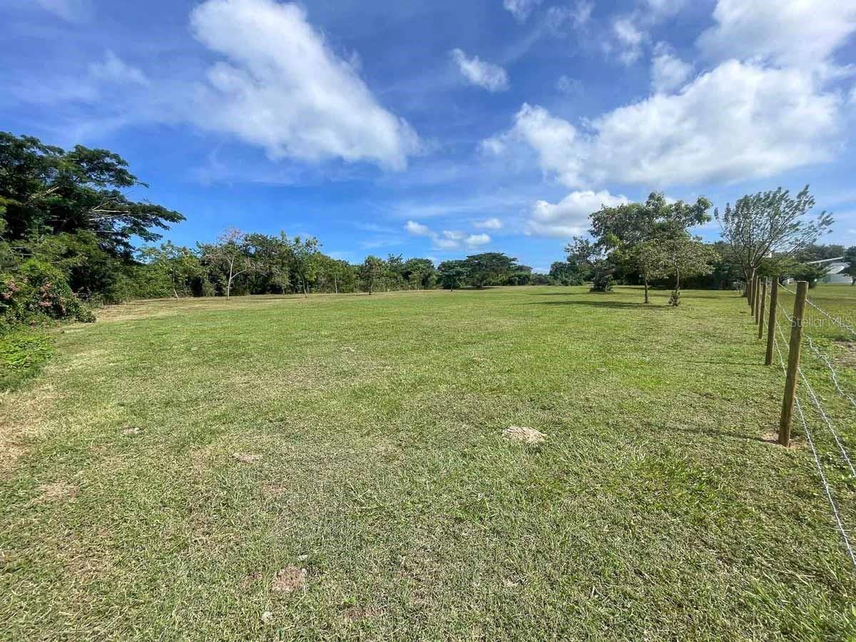 VIEQUES — foto 10