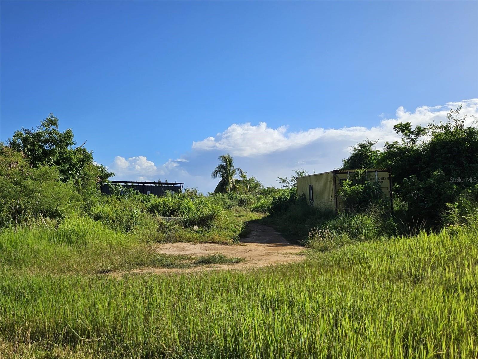 CAMUY