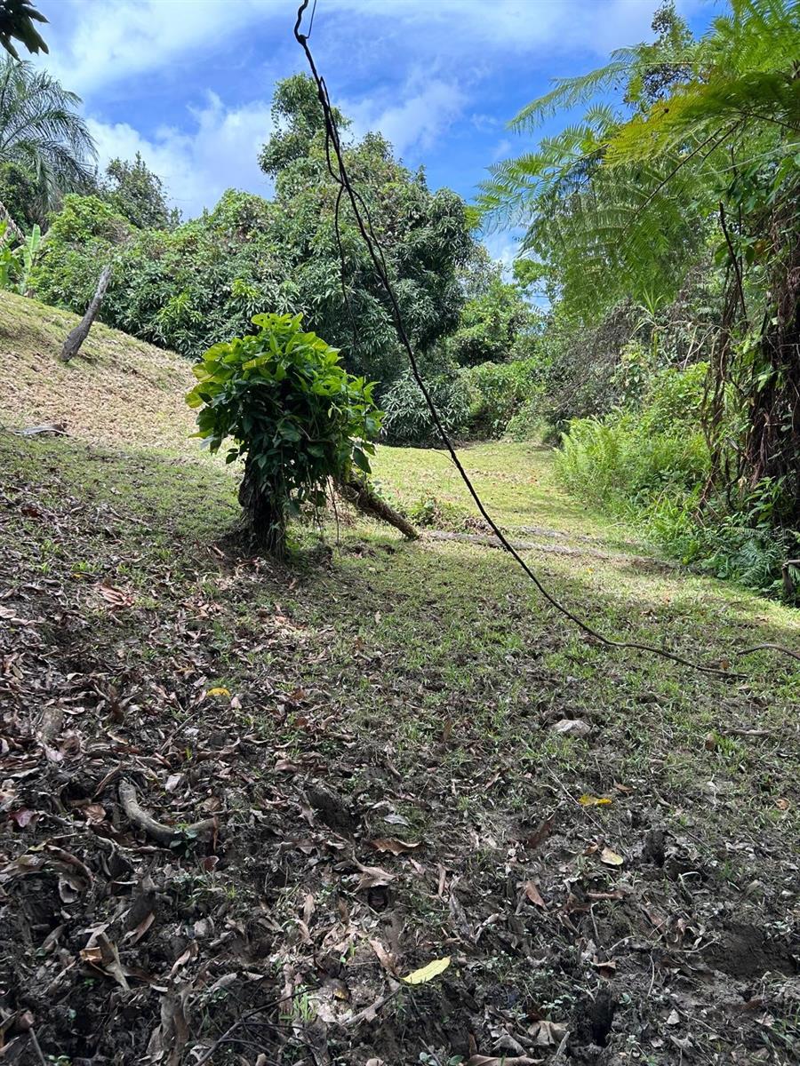 LUQUILLO — foto 2