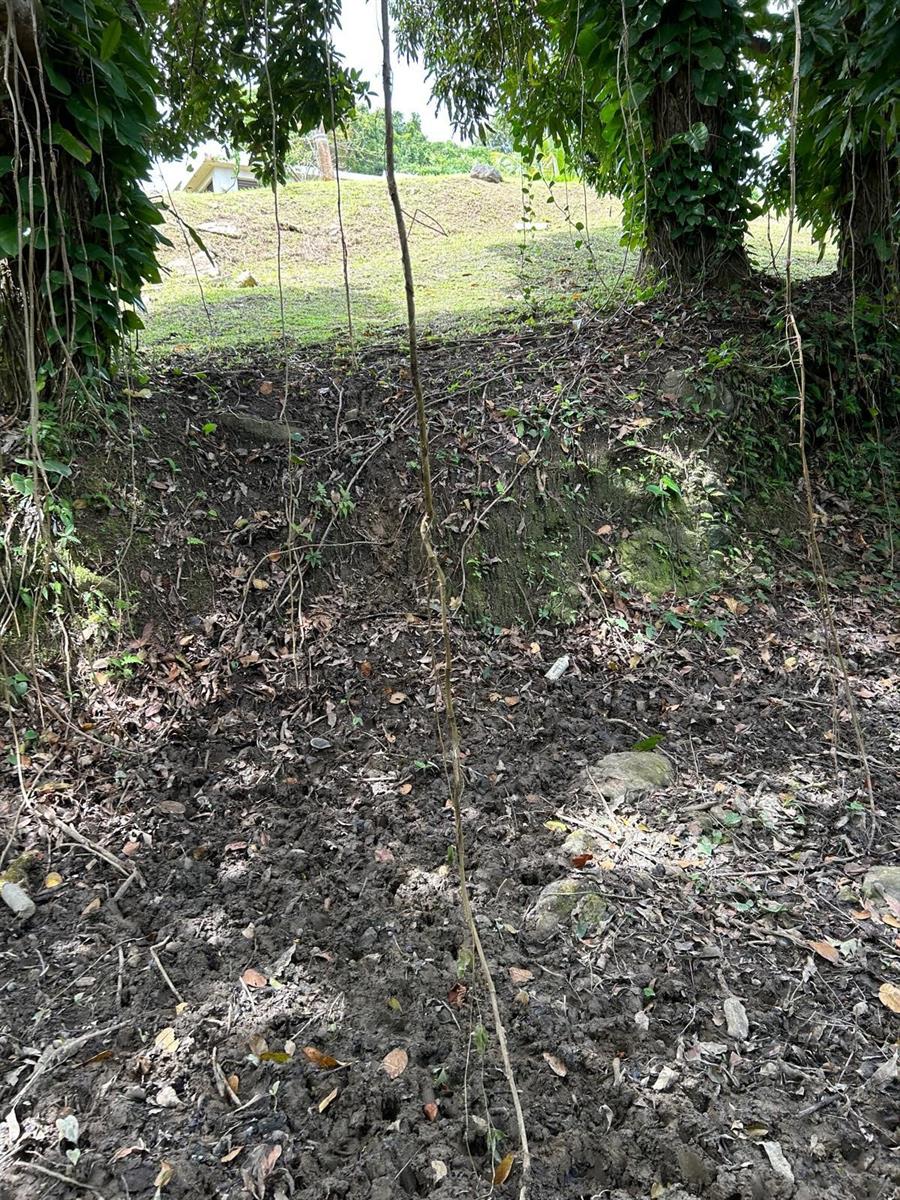 LUQUILLO — foto 3