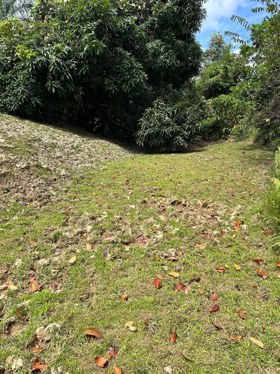 LUQUILLO — foto 4