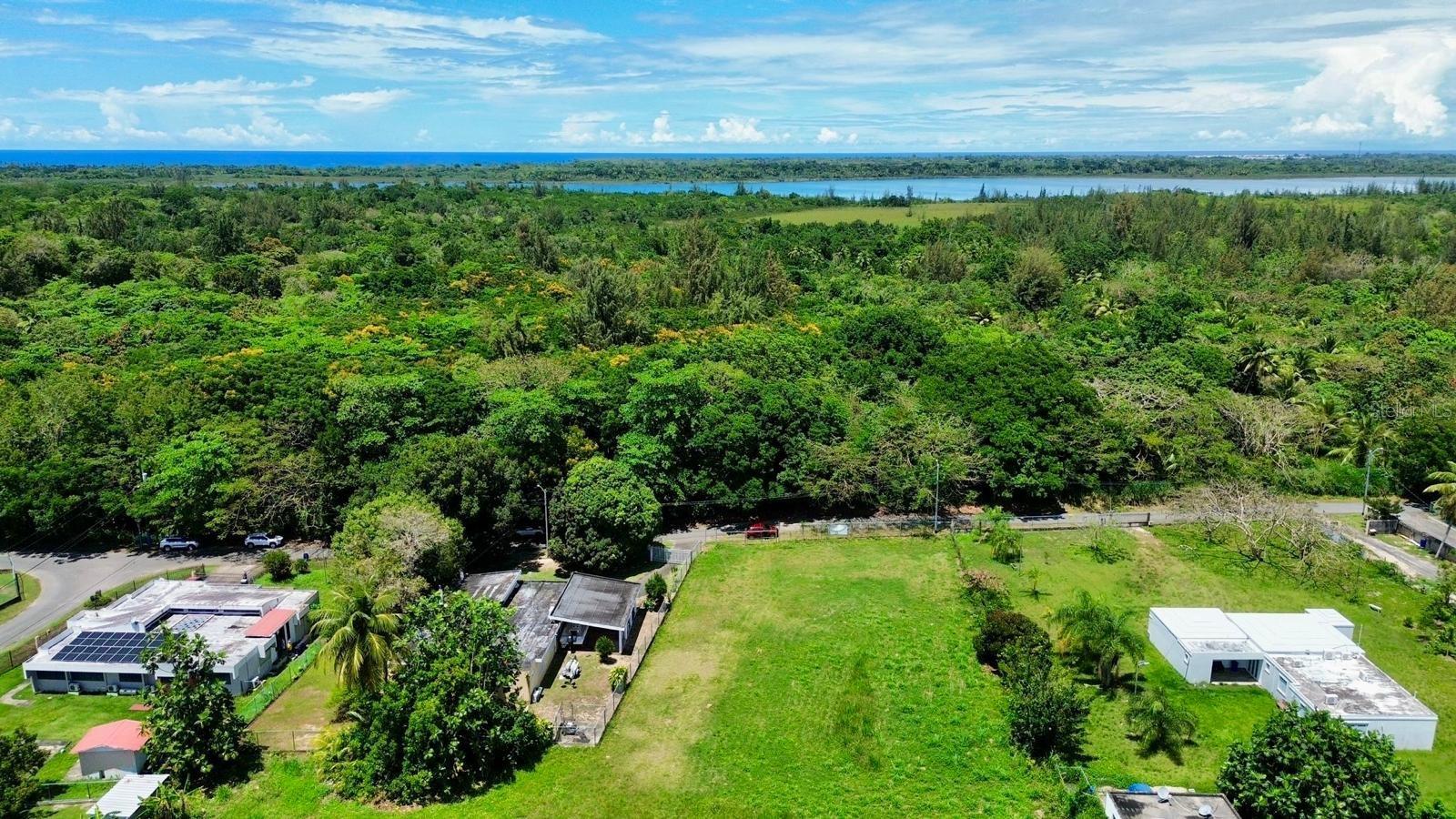 MANATI — foto 2