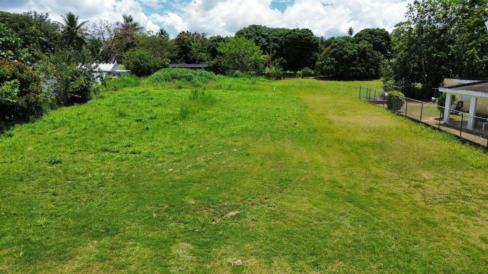 MANATI — foto 3