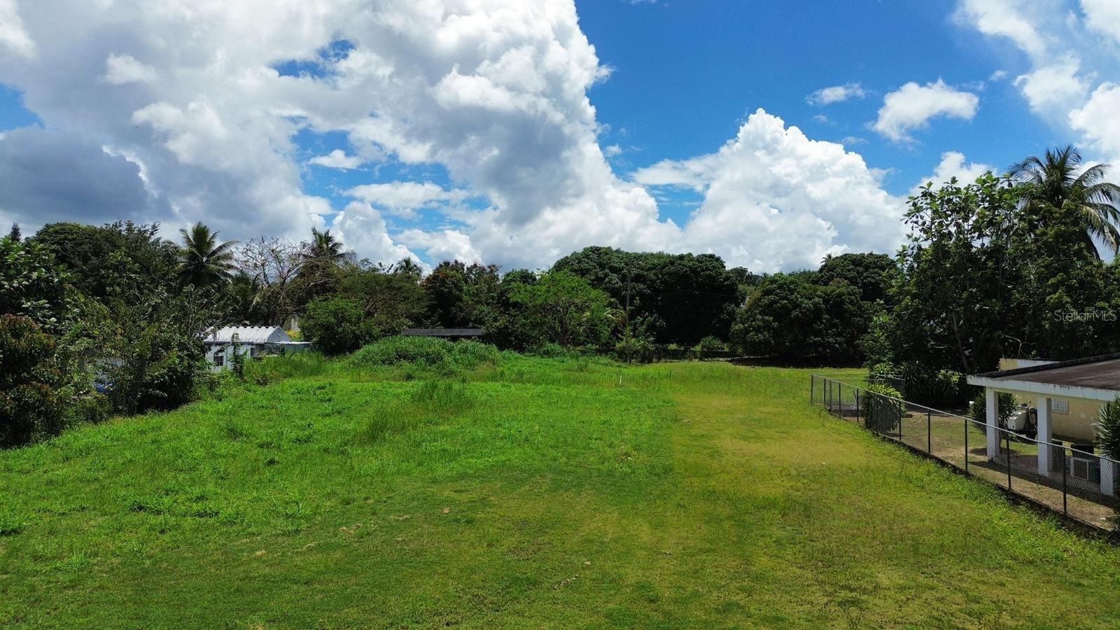 MANATI — foto 5