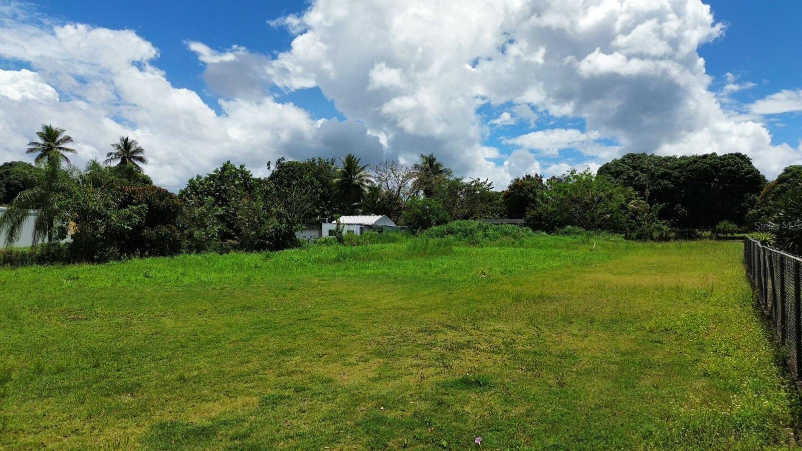 MANATI — foto 6