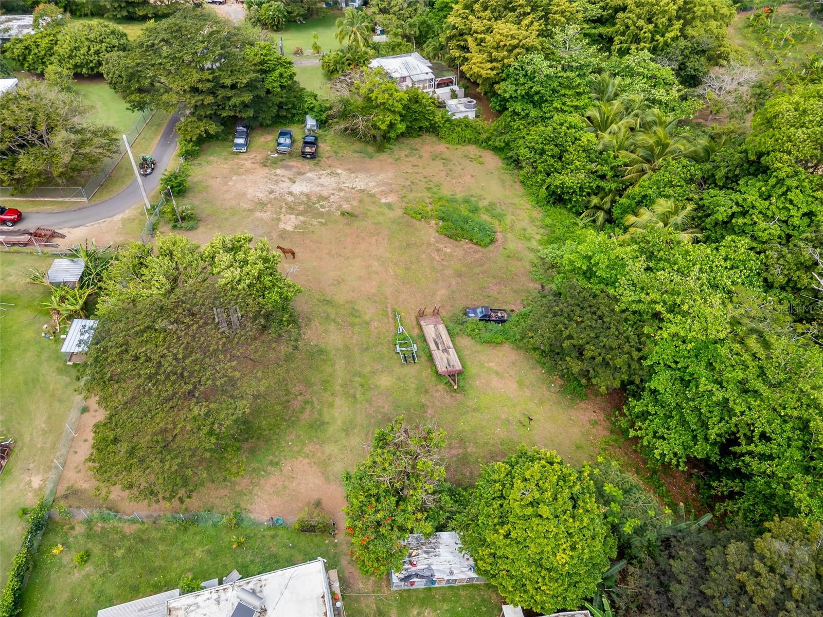 VIEQUES — foto 5