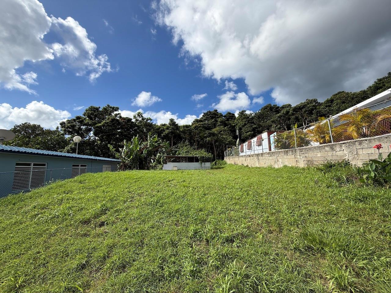 MAUNABO — foto 3