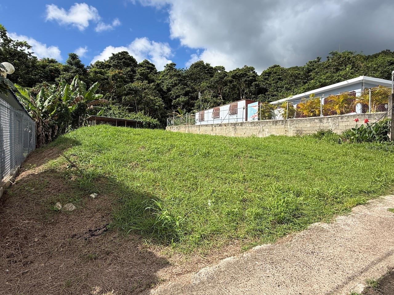 MAUNABO — foto 4