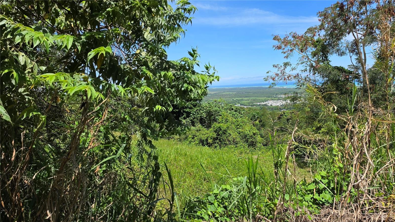 RIO GRANDE — foto 4
