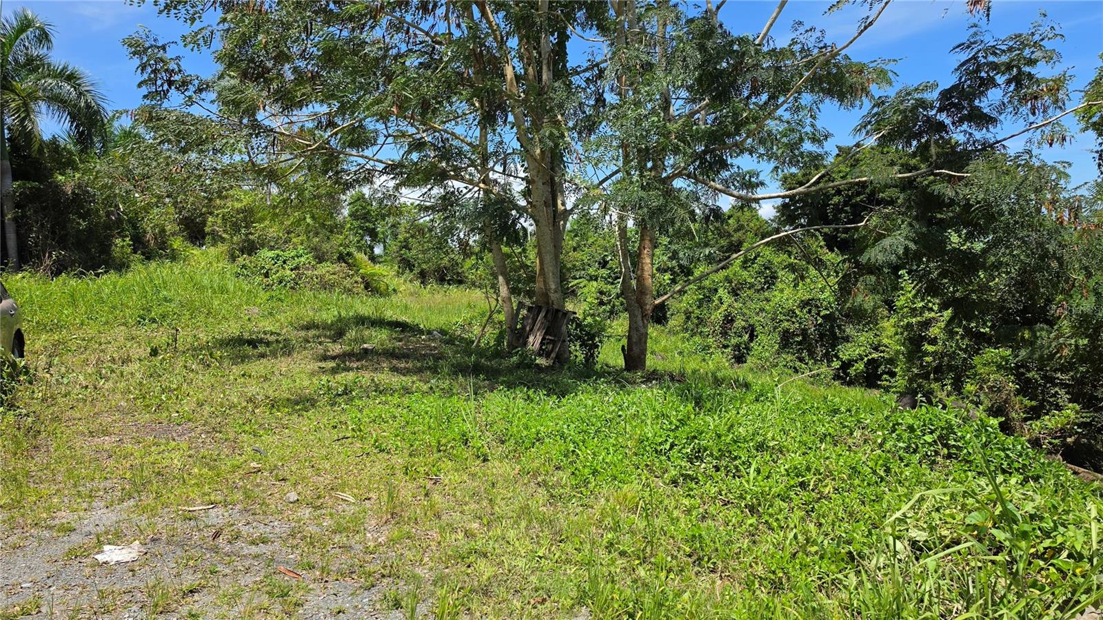 RIO GRANDE — foto 5
