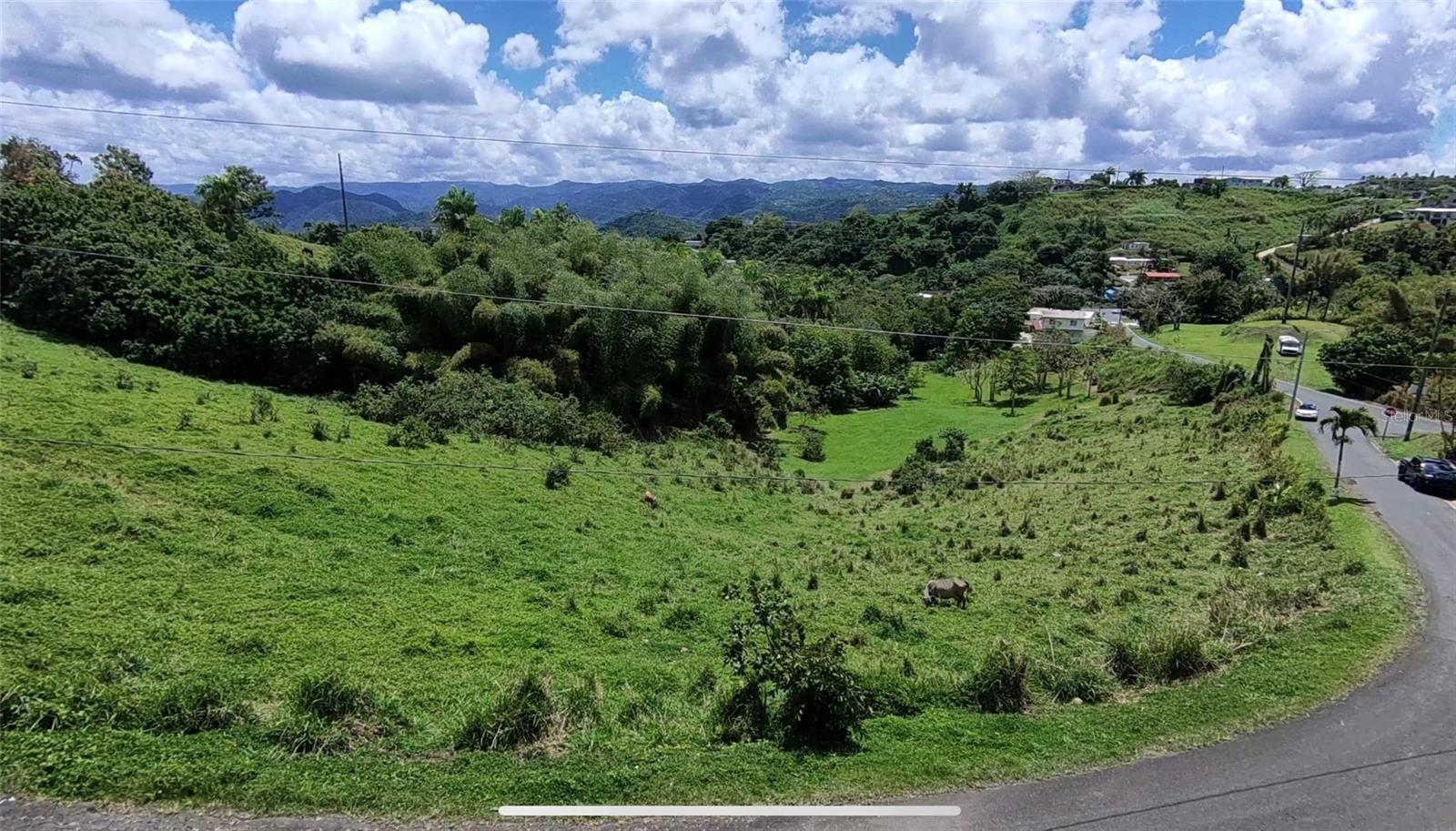BARRANQUITAS — foto 2