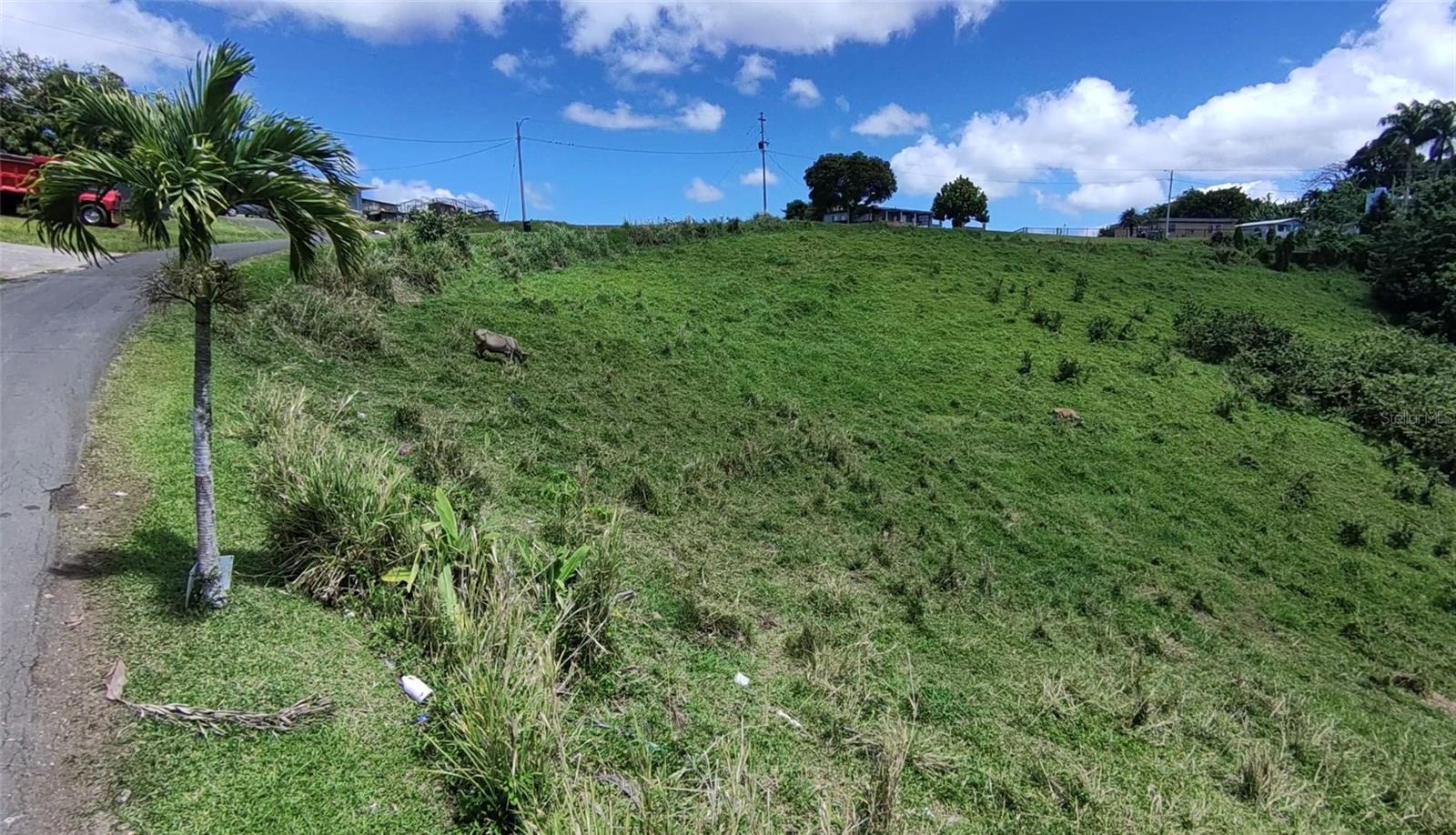 BARRANQUITAS — foto 3