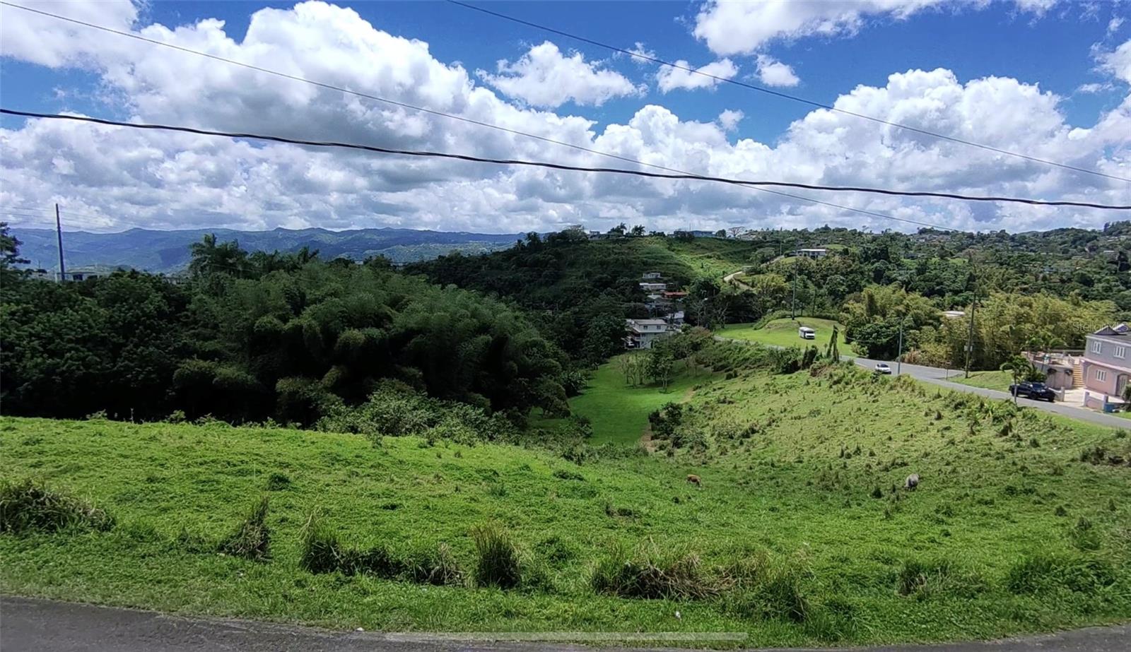 BARRANQUITAS — foto 4
