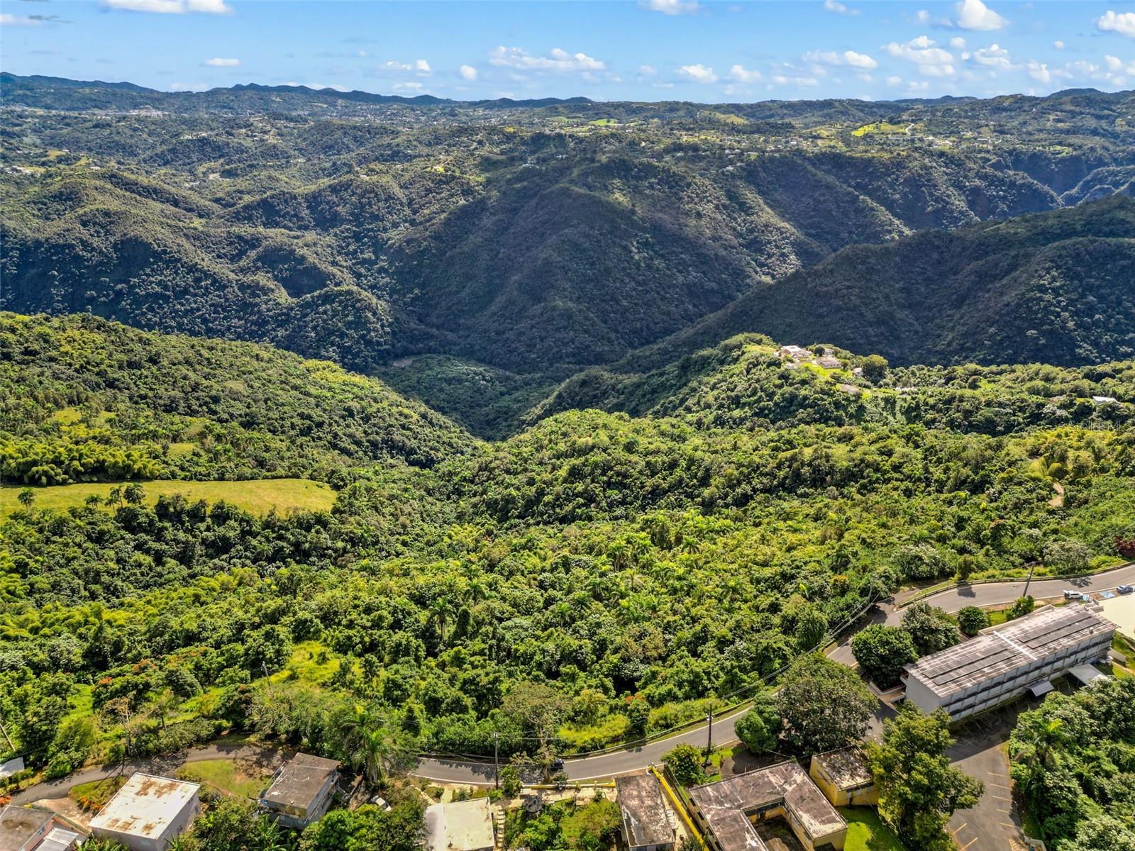 BARRANQUITAS — foto 3