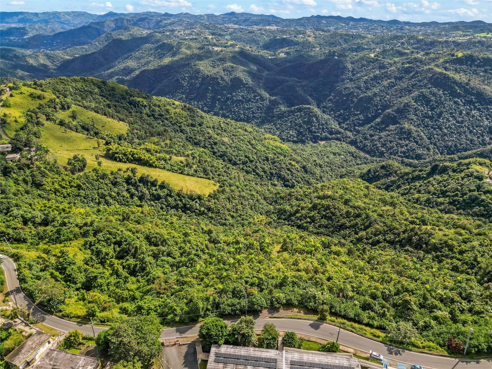 BARRANQUITAS — foto 6
