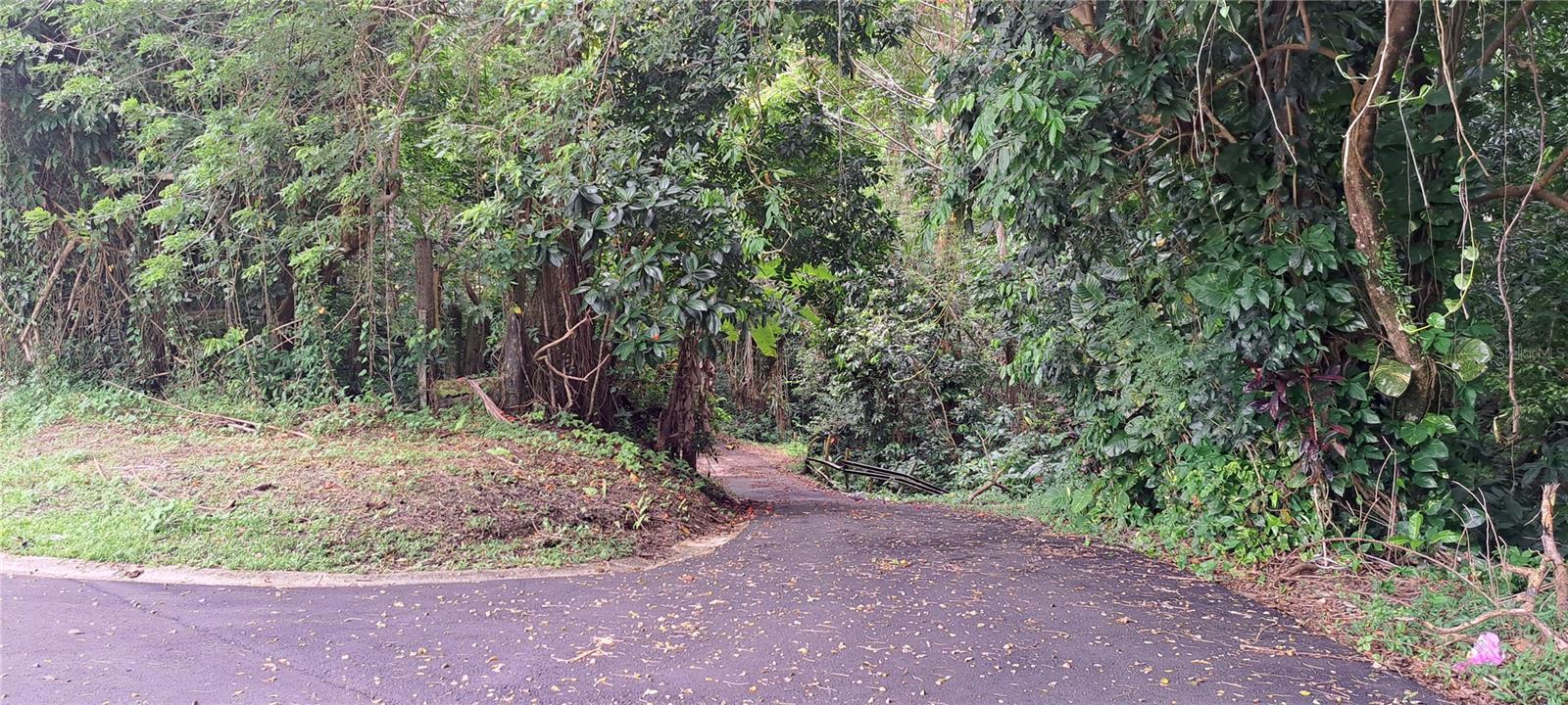 RIO GRANDE — foto 2