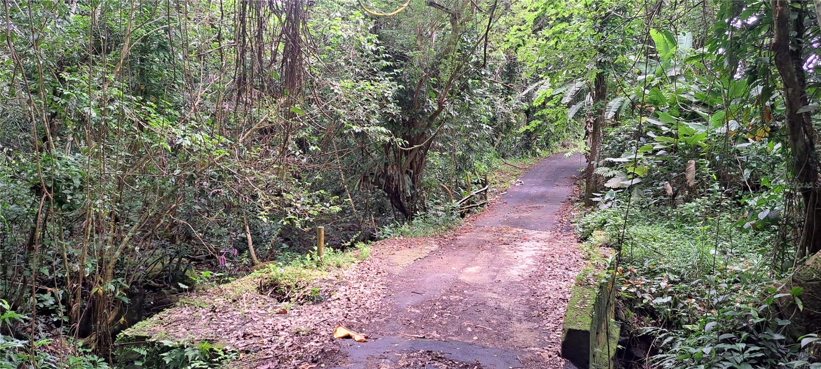 RIO GRANDE — foto 3