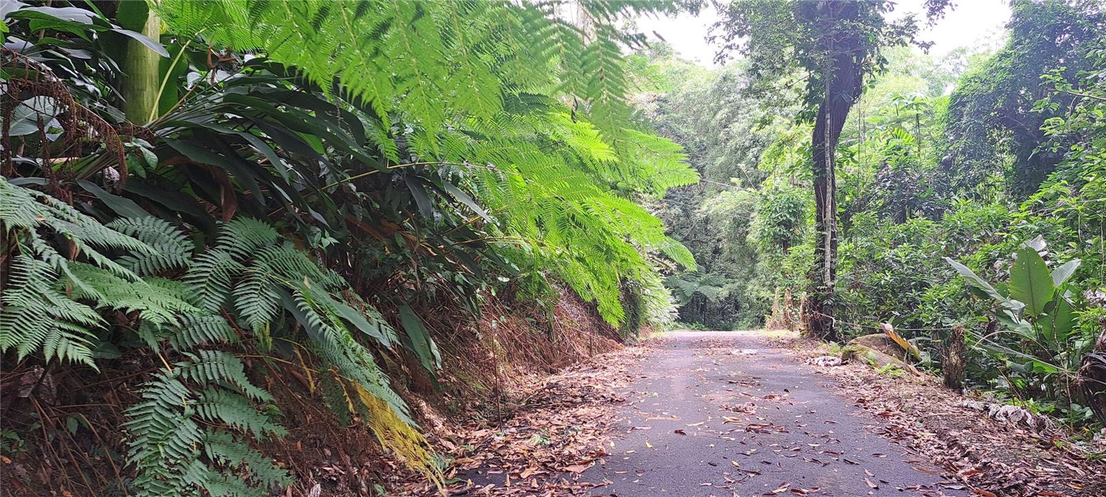 RIO GRANDE — foto 4