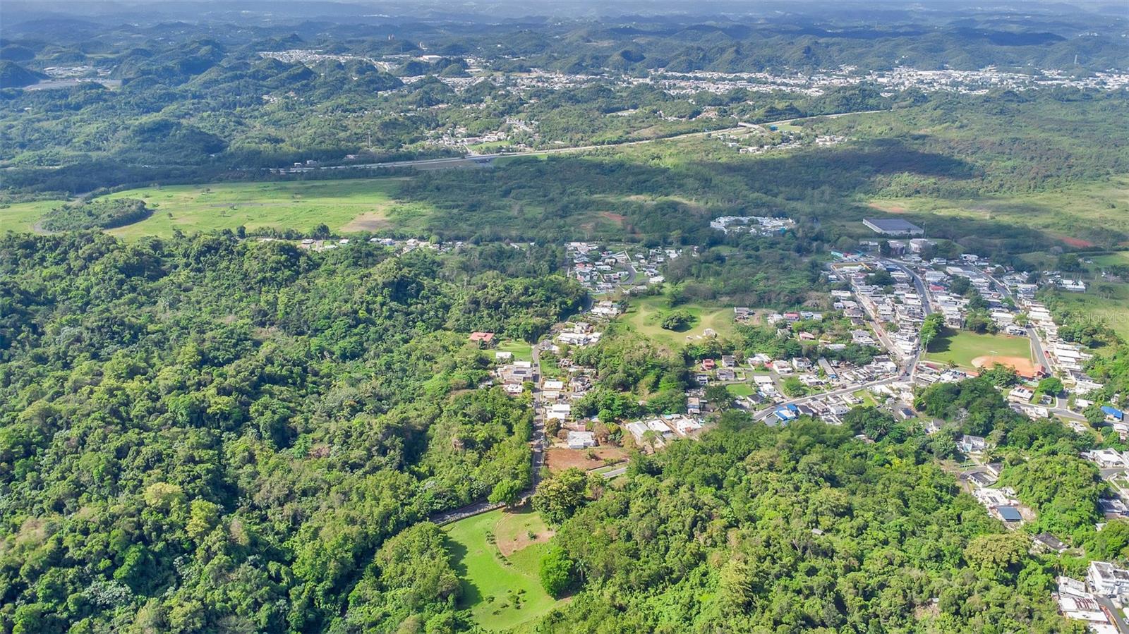 DORADO — foto 5