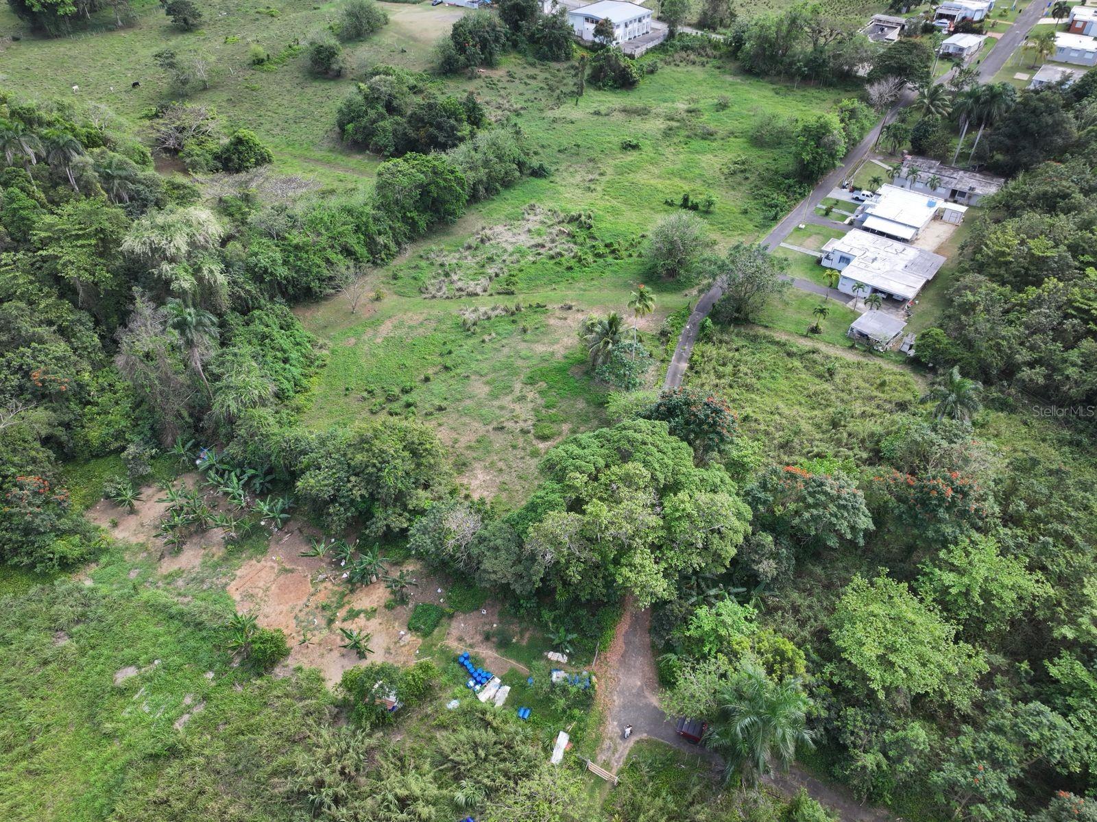 CAMUY