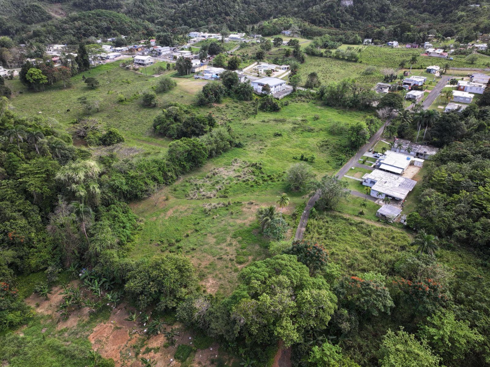 CAMUY — foto 5