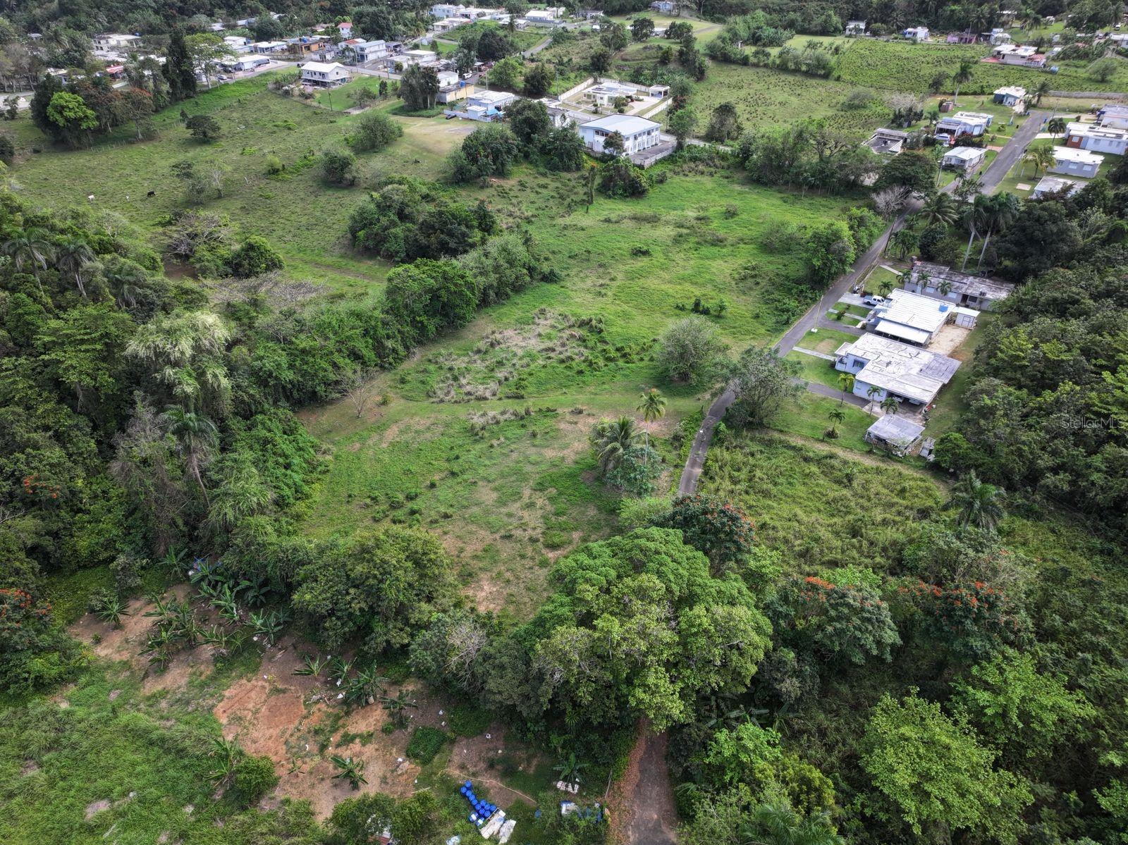 CAMUY — foto 6