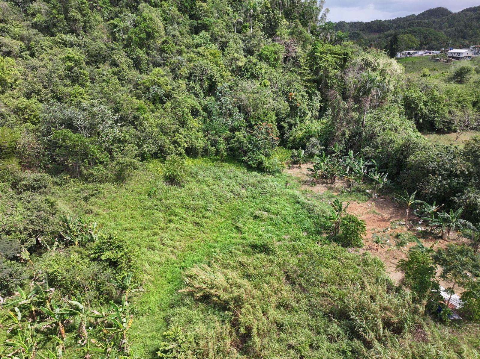 CAMUY — foto 10