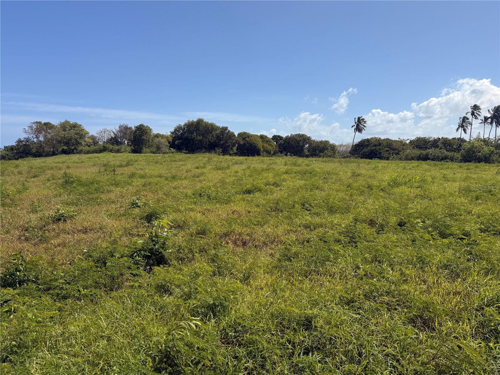 ISABELA — foto 6