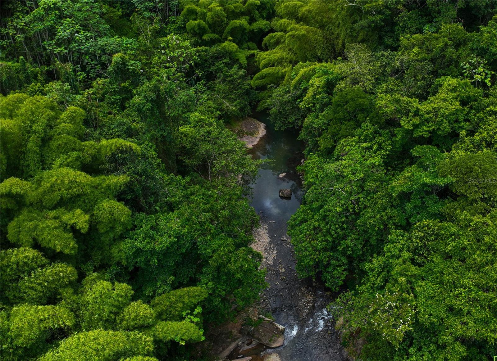 CIALES