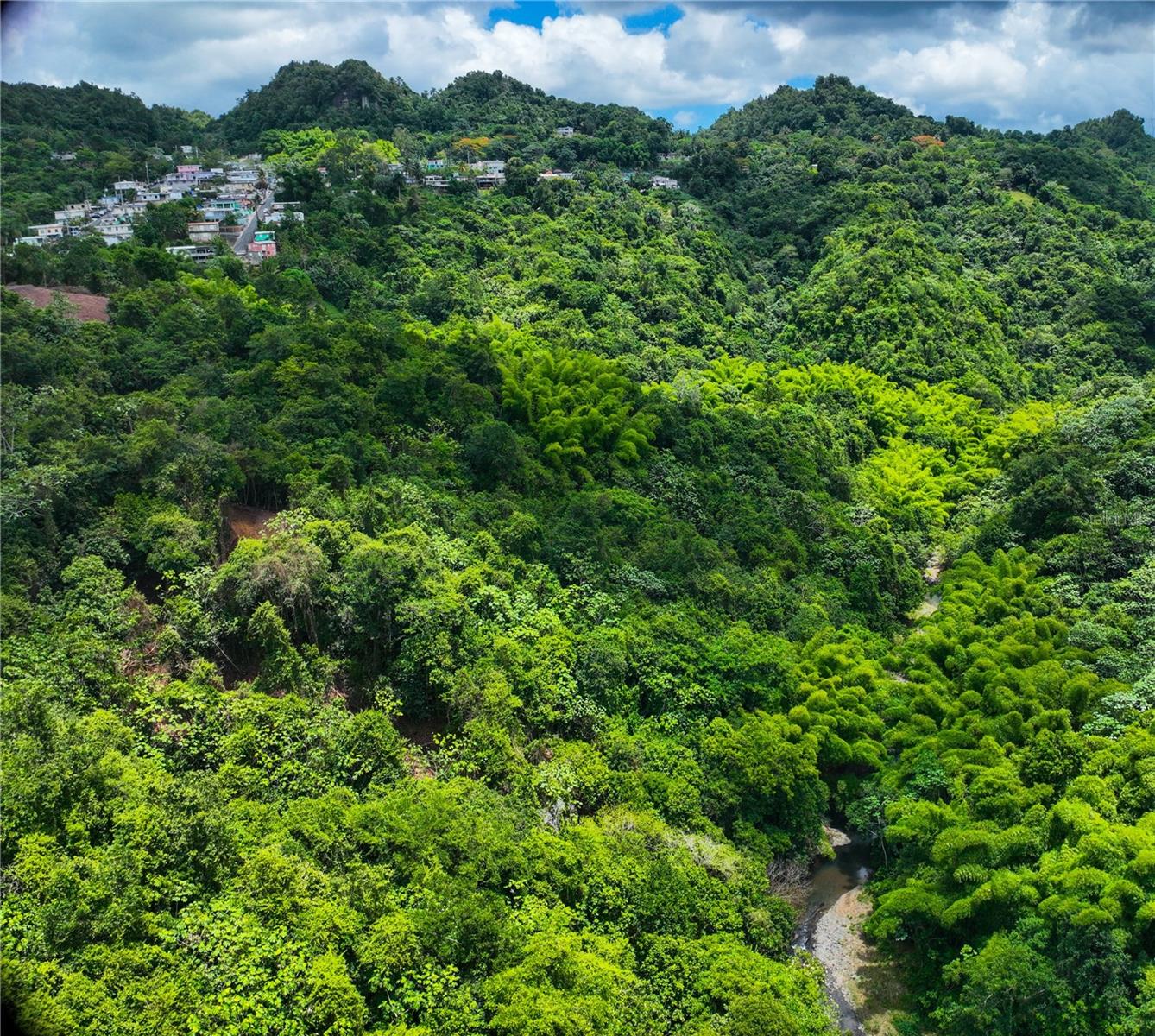 CIALES — foto 2
