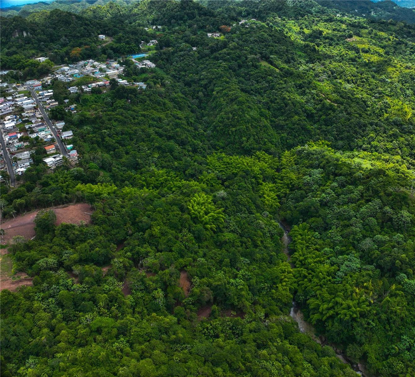CIALES — foto 3