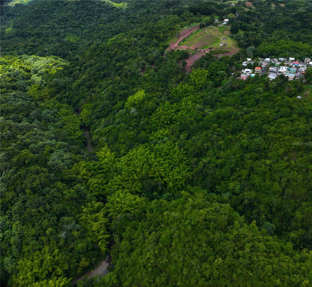 CIALES — foto 4