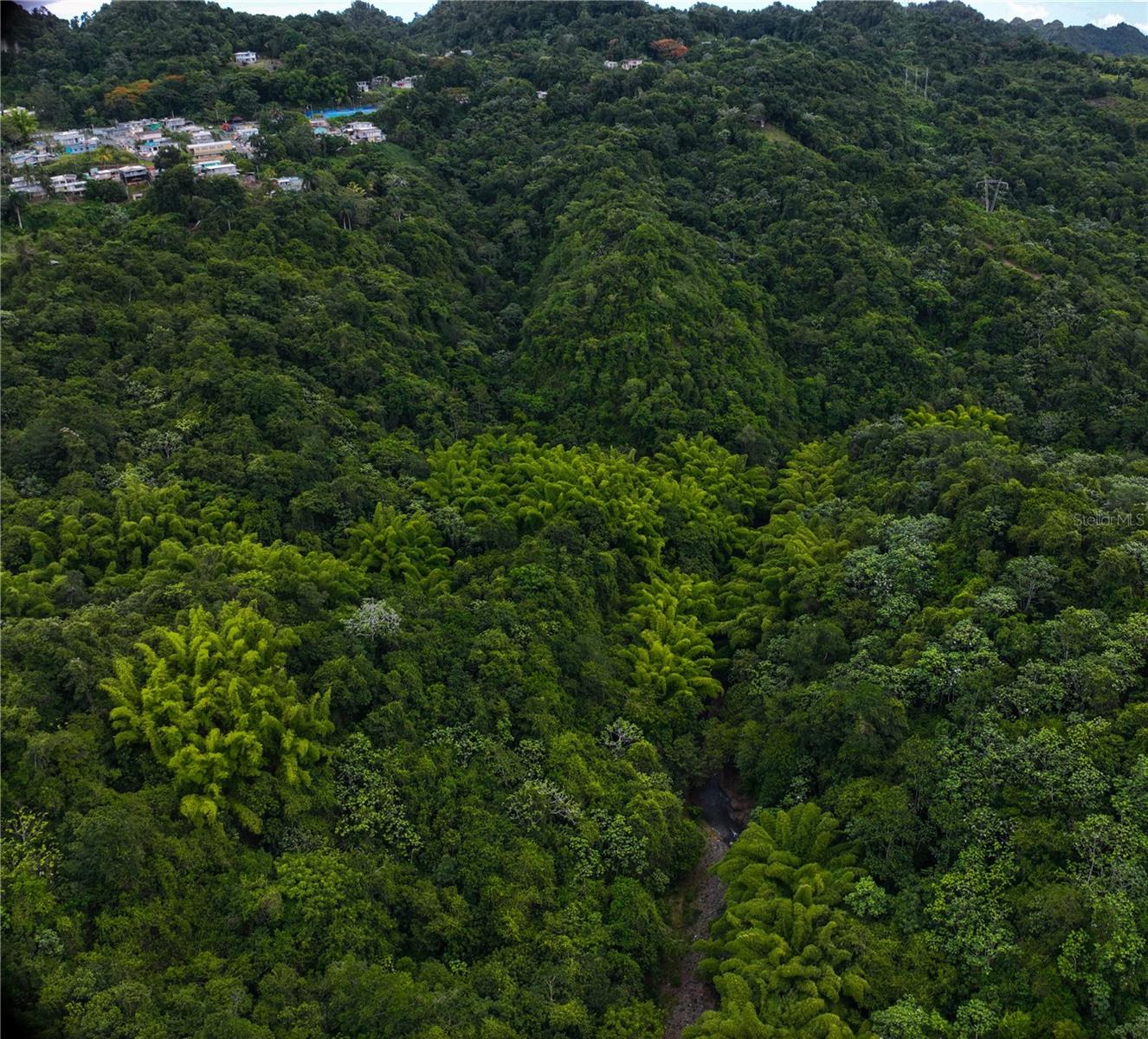 CIALES — foto 5