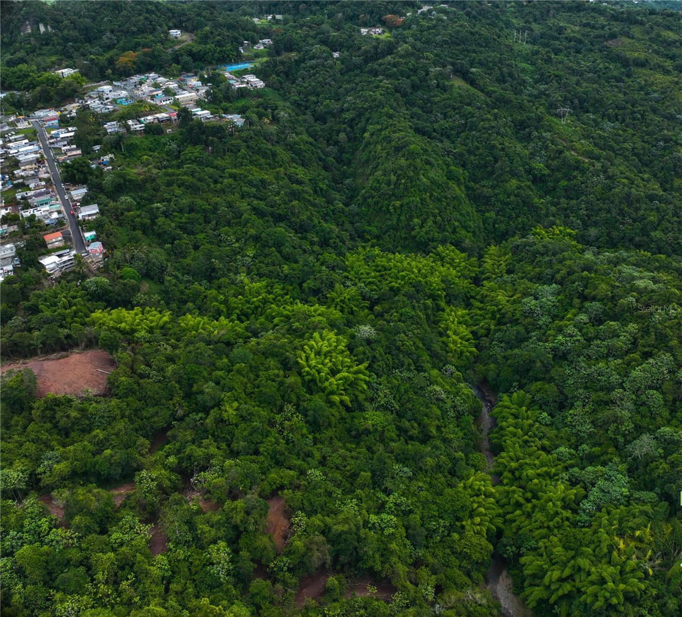 CIALES — foto 7