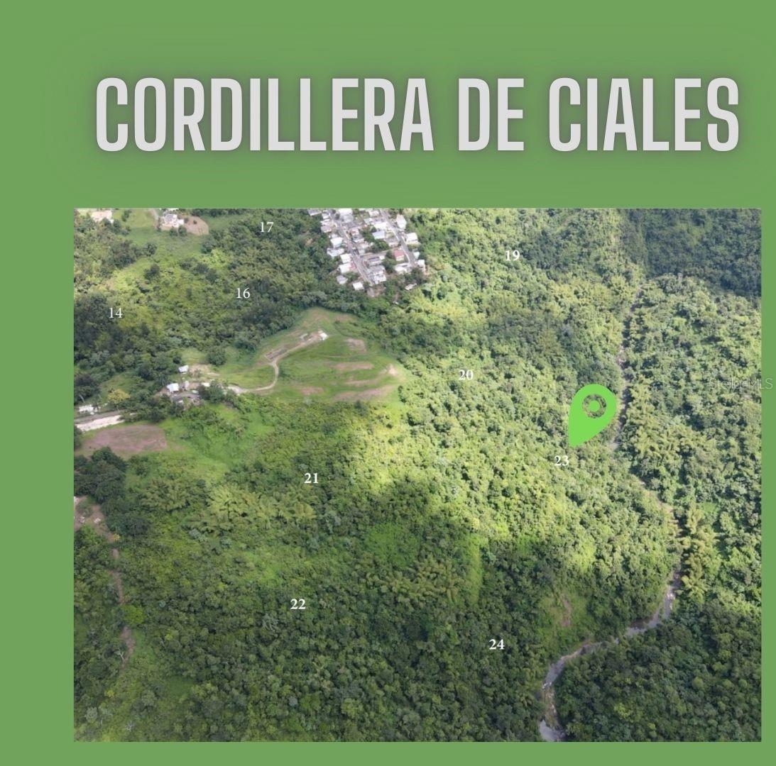 CIALES — foto 8