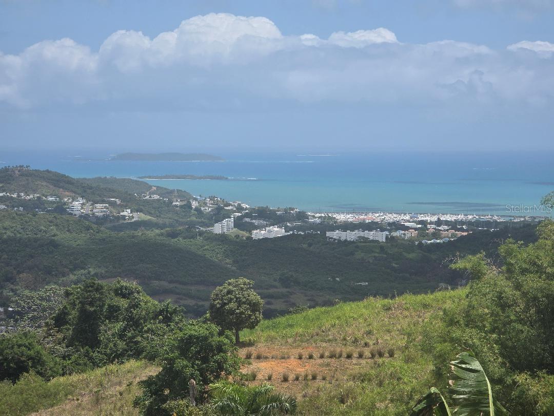 CEIBA
