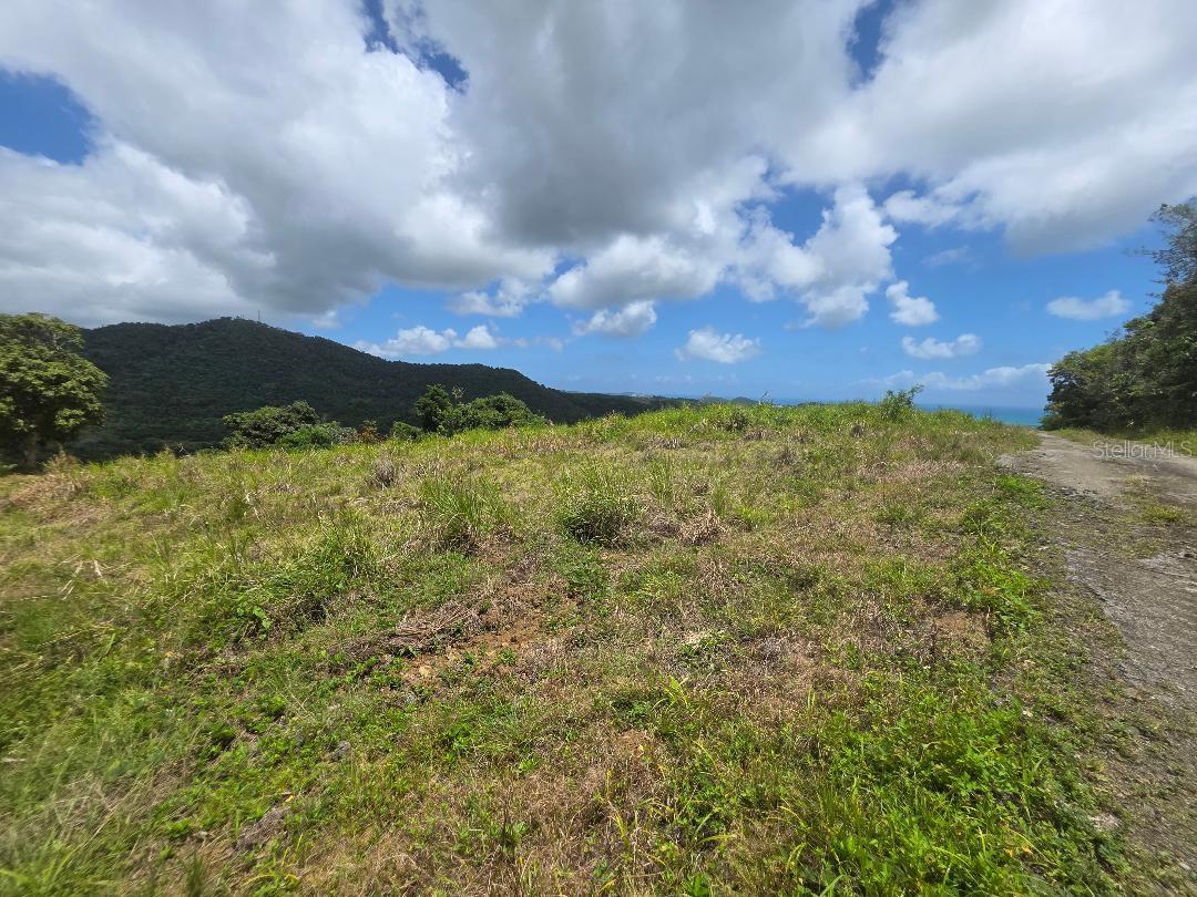 CEIBA — foto 2