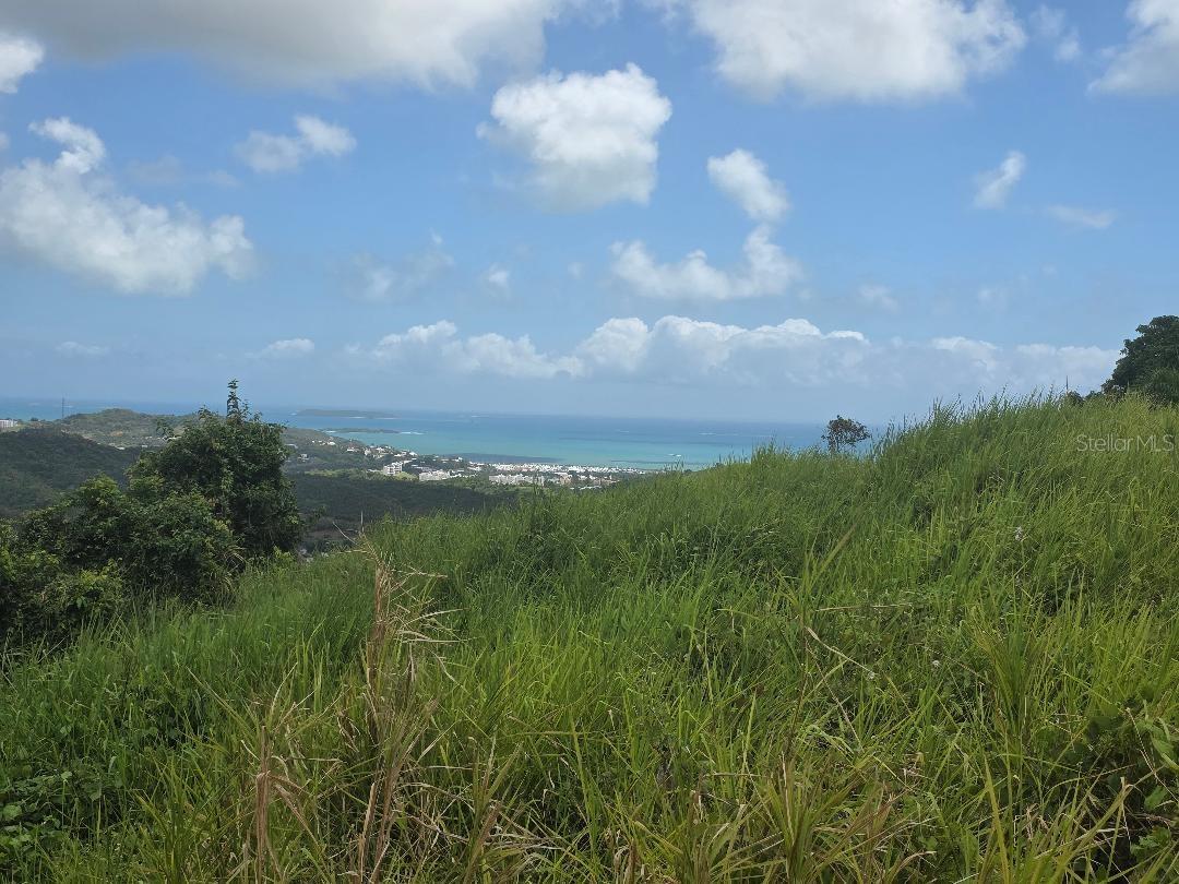 CEIBA — foto 3