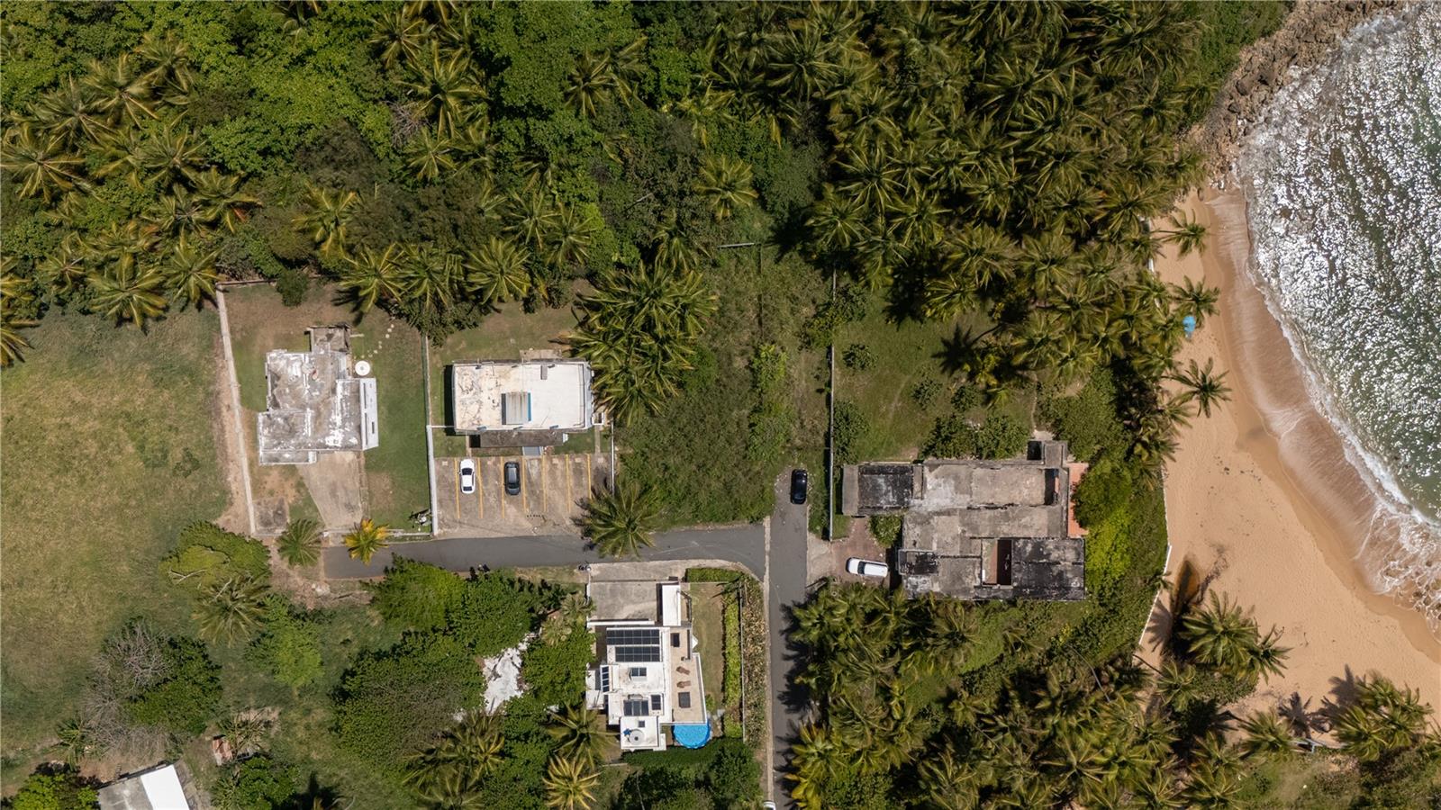 VEGA ALTA — foto 2