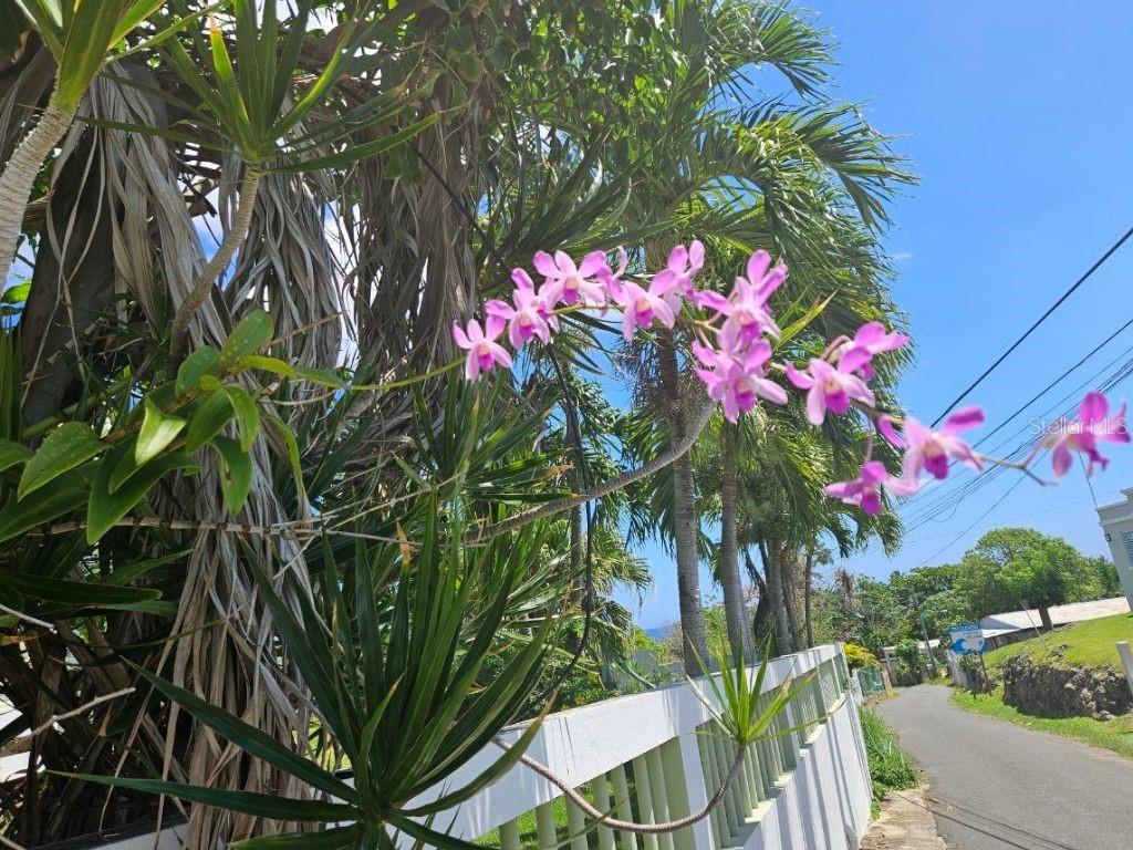 4 hab · 2 baños · CAMUY — foto 2