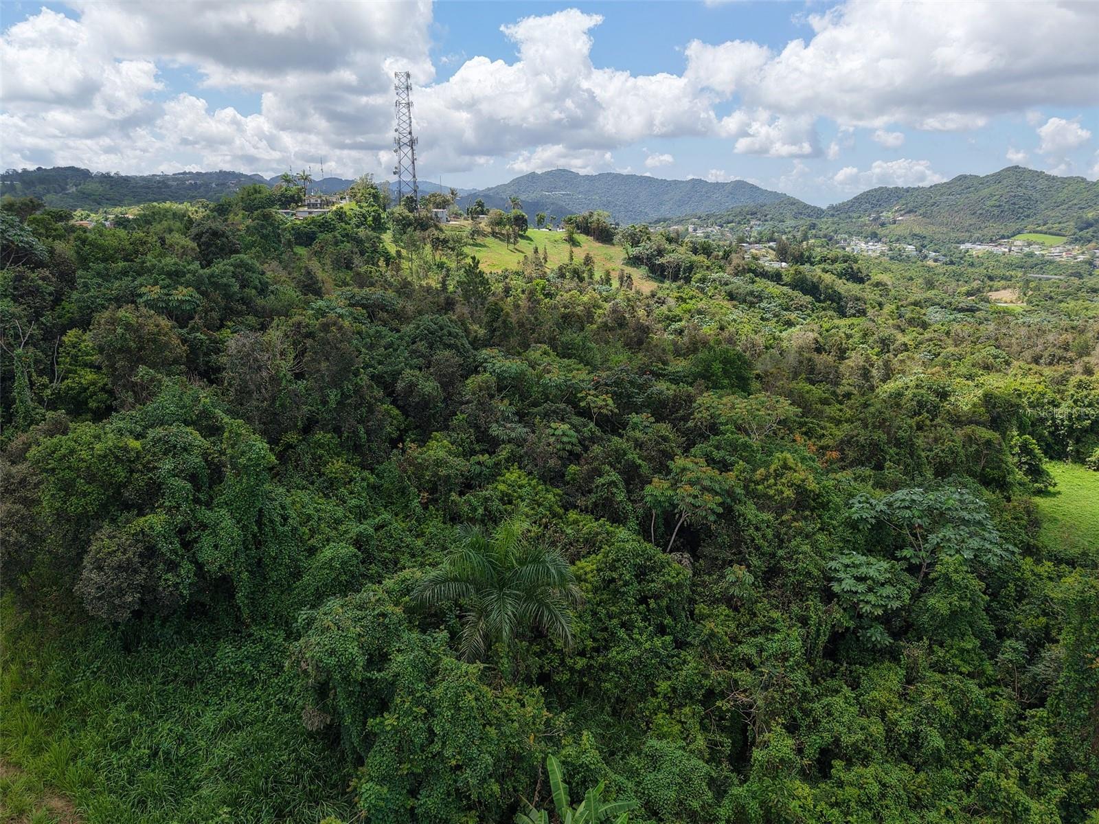 AIBONITO