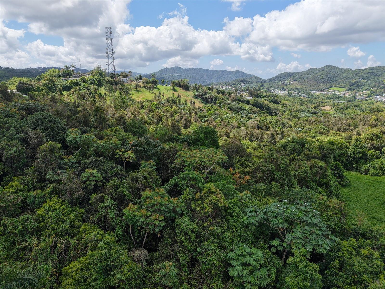 AIBONITO — foto 11