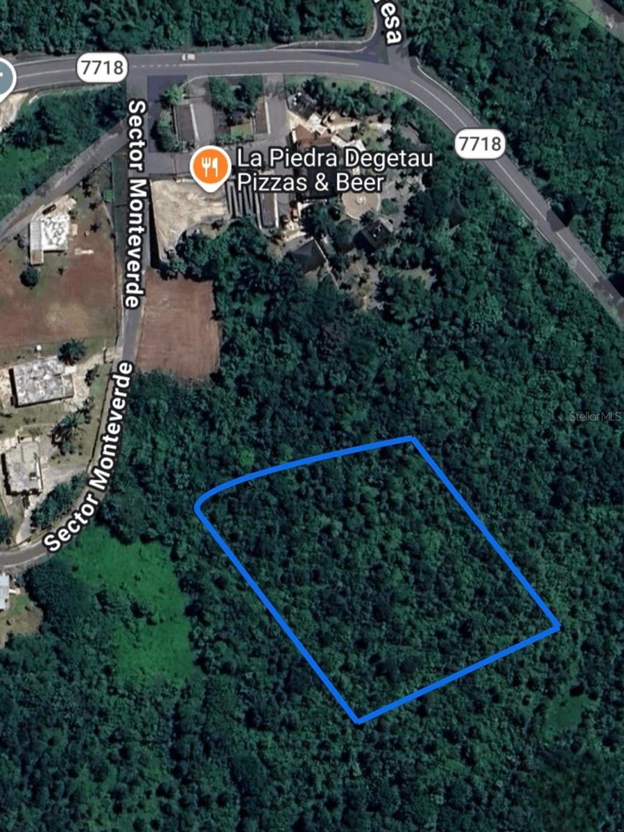 AIBONITO — foto 3