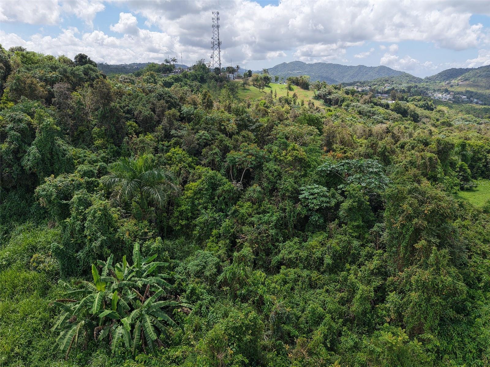 AIBONITO — foto 4