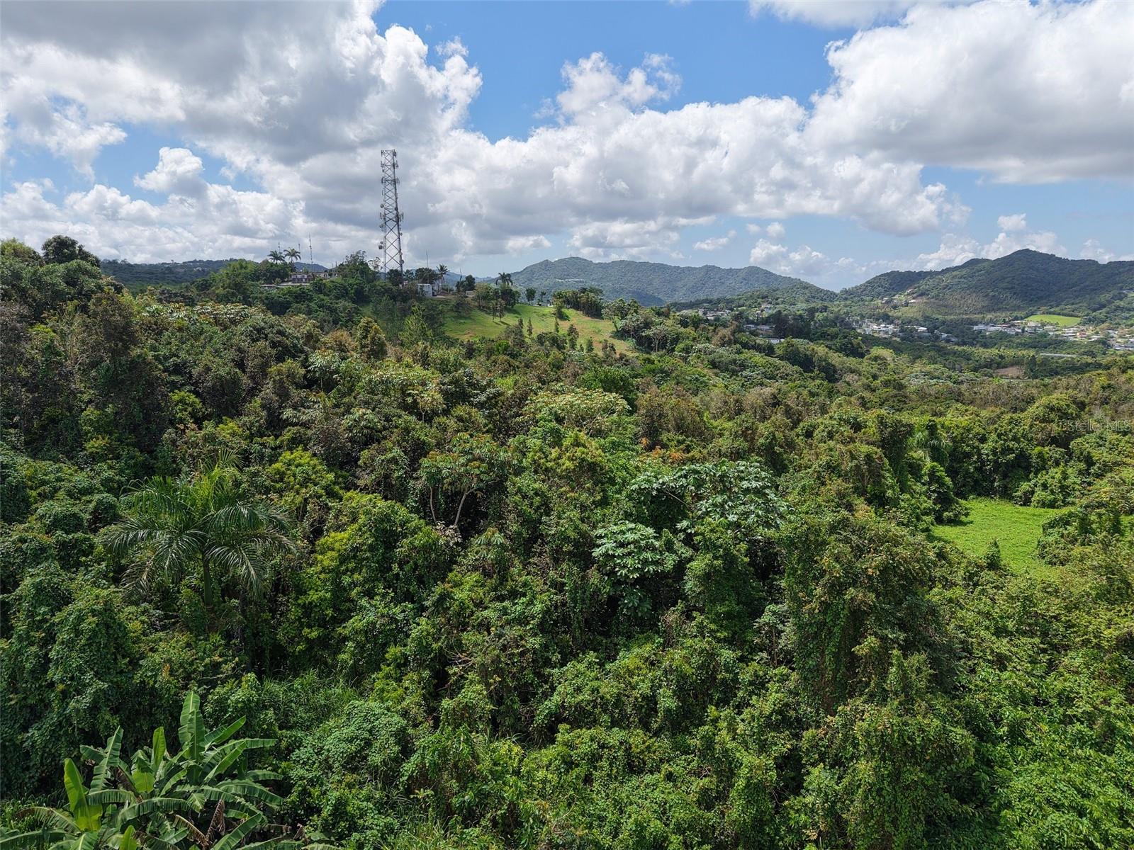AIBONITO — foto 7