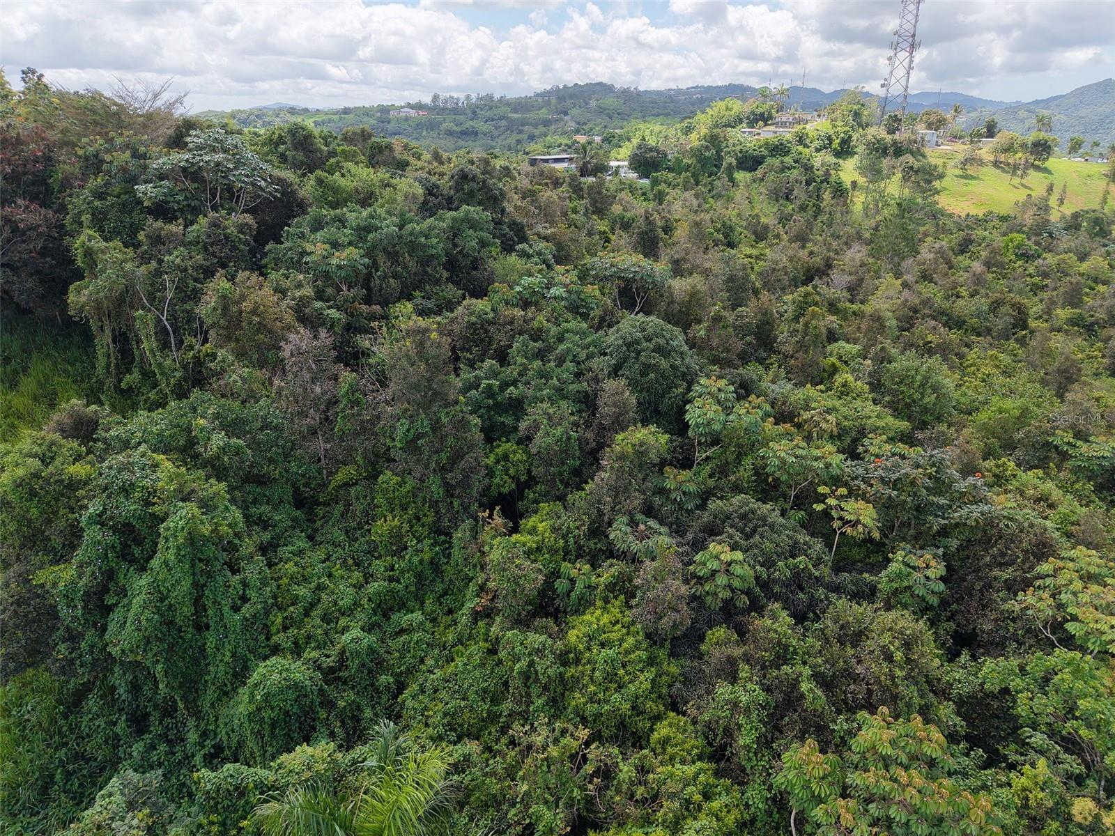 AIBONITO — foto 10