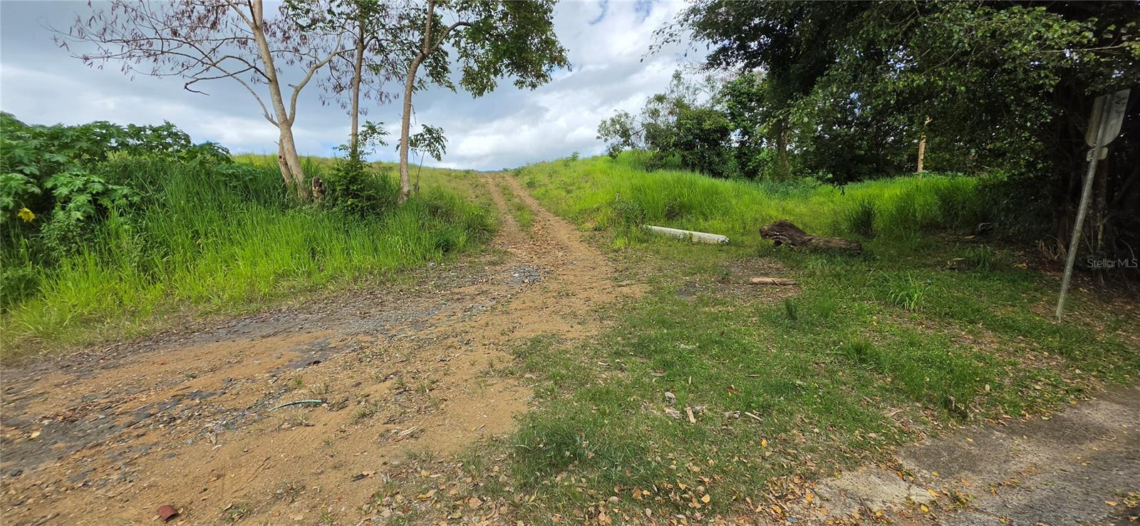 CAROLINA — foto 12