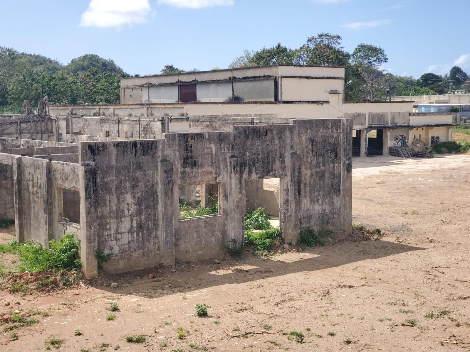 MANATI — foto 2