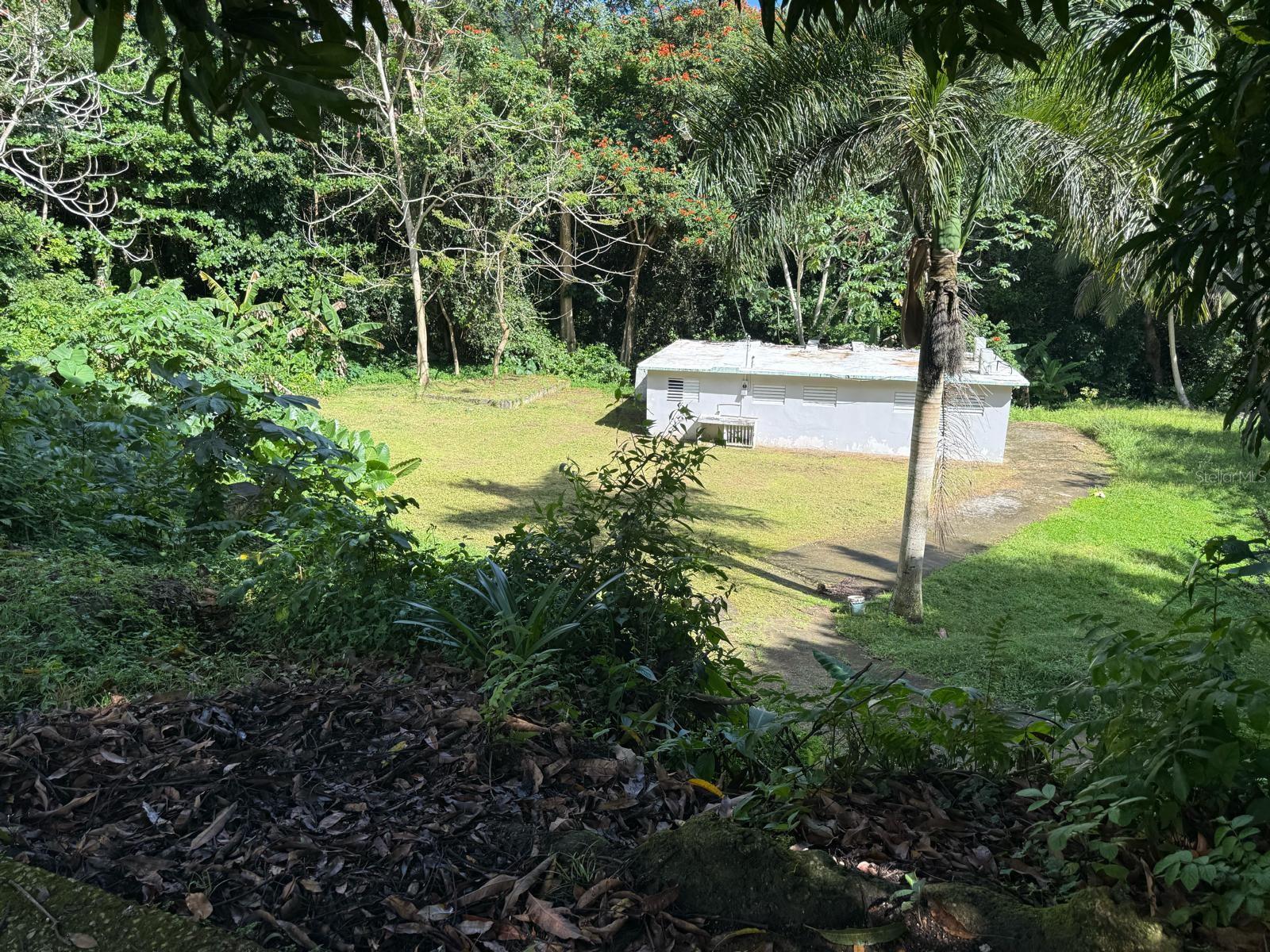 HUMACAO — foto 11