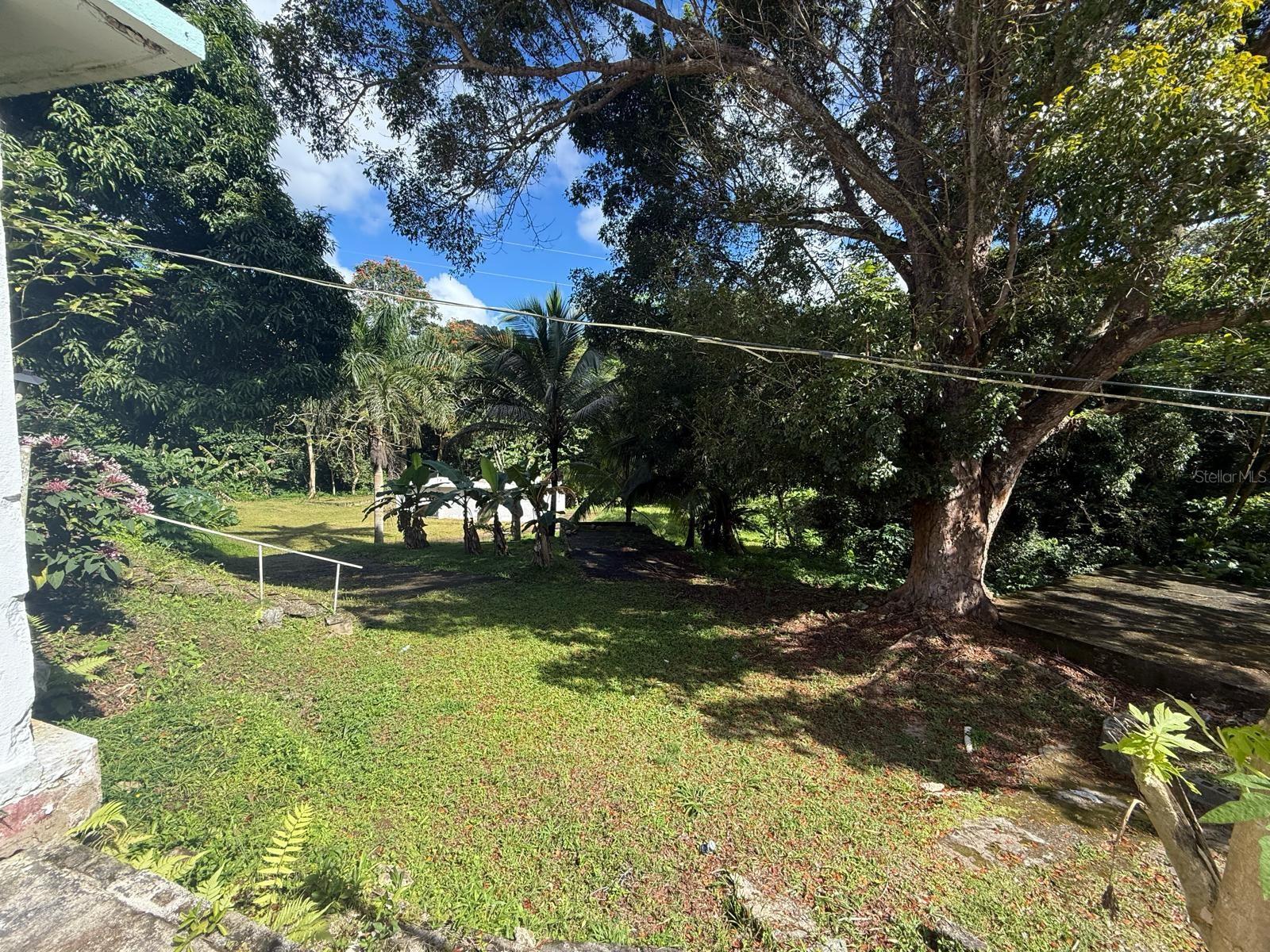 HUMACAO — foto 4